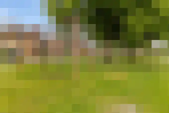 Hoofdelingenlaan 9 Appingedam thumbnail 9