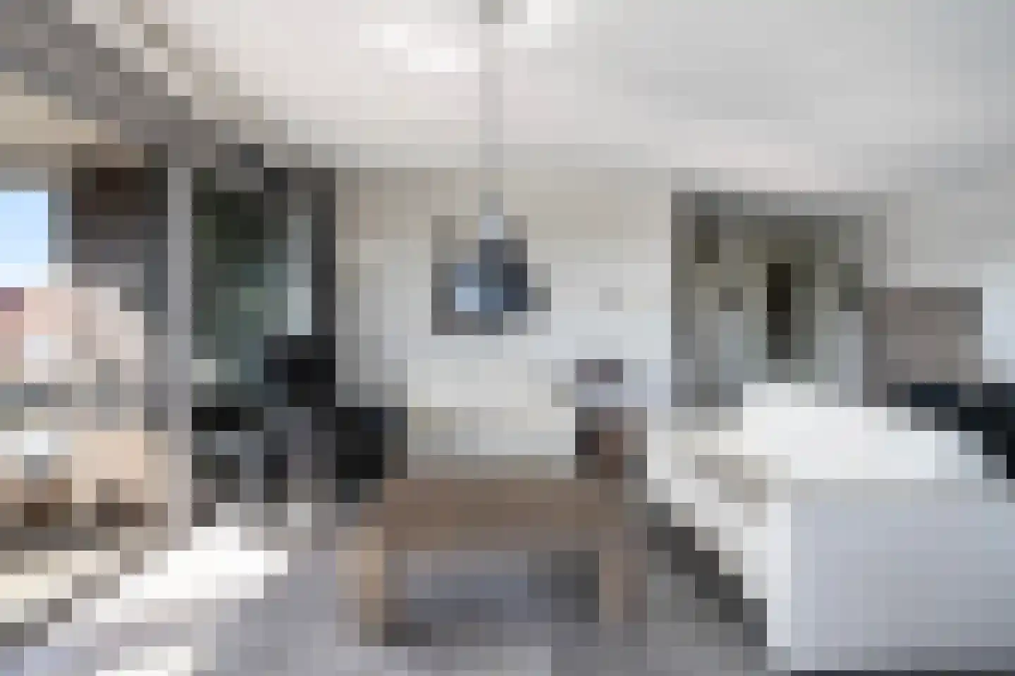 Hoofden 1 104 Sneek thumbnail 22