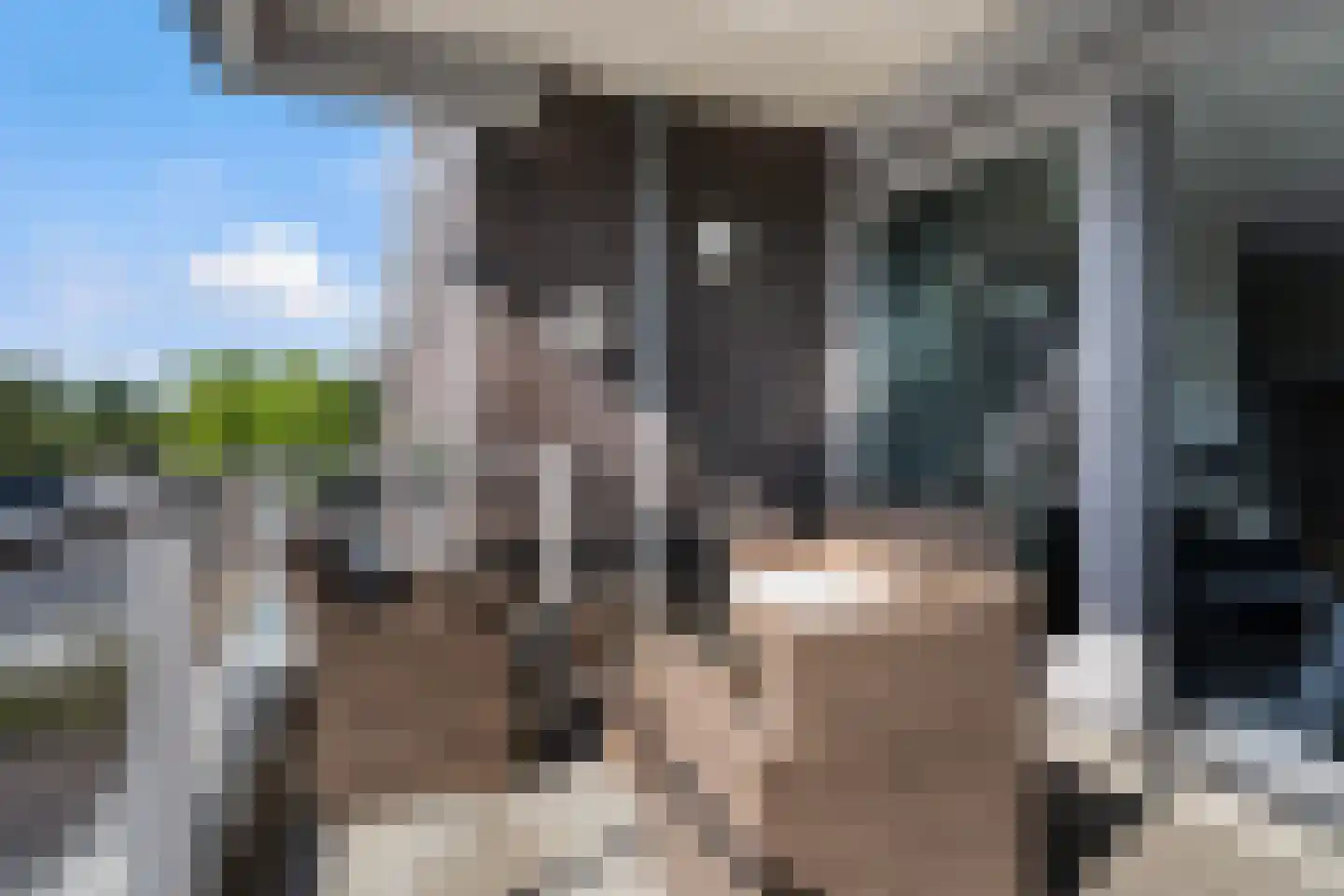 Hoofden 1 104 Sneek thumbnail 28