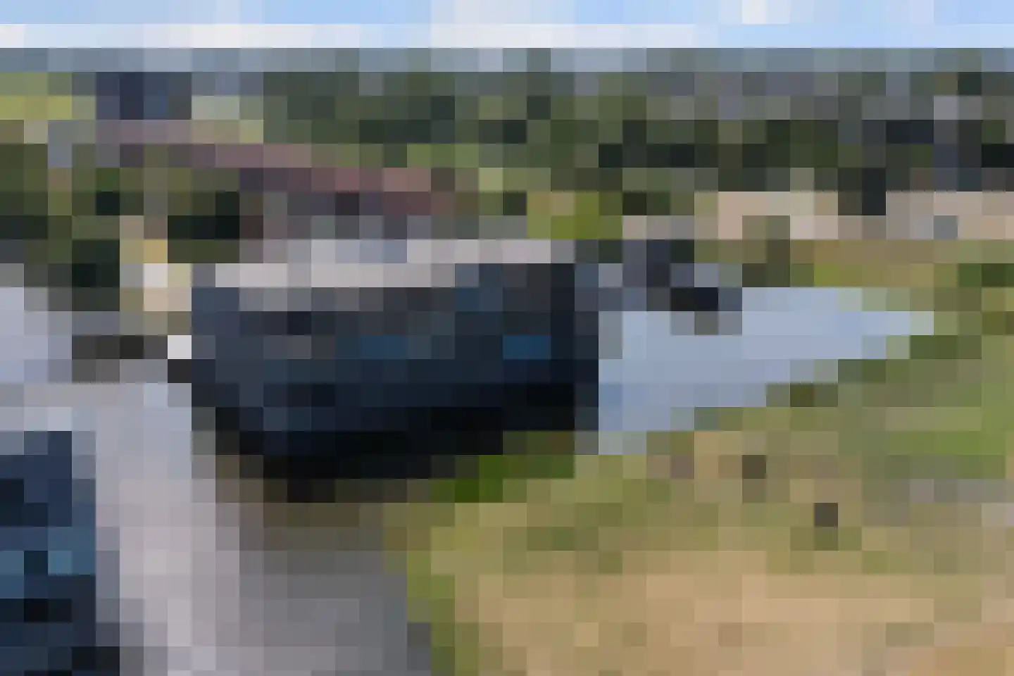 Hoofden 1 104 Sneek thumbnail 5