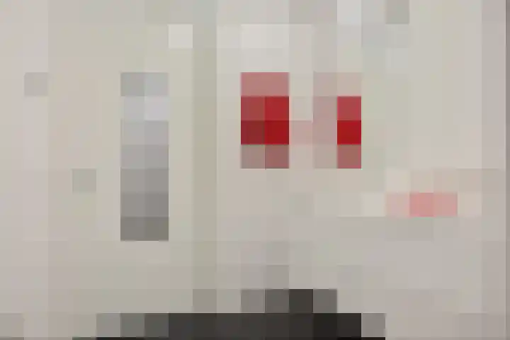Hoofden 1 203 Sneek thumbnail 17