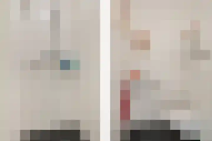 Hoofden 1 203 Sneek thumbnail 18