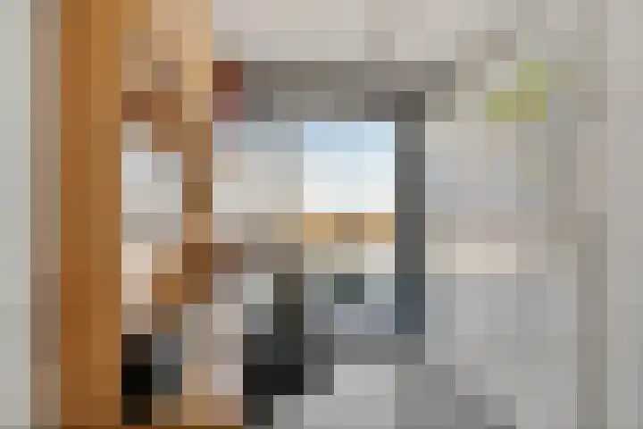 Hoofden 1 203 Sneek thumbnail 19