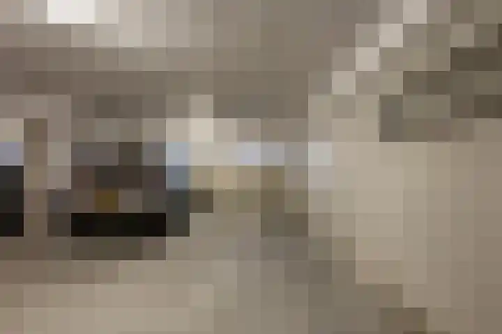 Hoofden 1 203 Sneek thumbnail 28