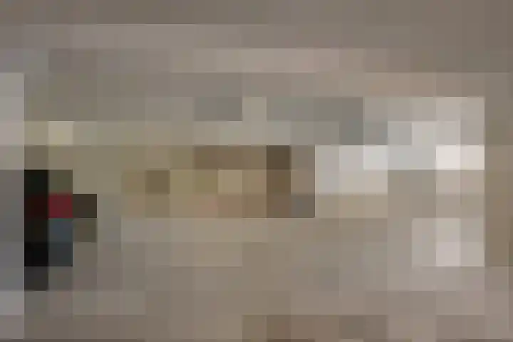 Hoofden 1 203 Sneek thumbnail 30