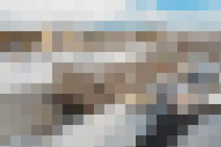 Hoofden 1 203 Sneek thumbnail 33
