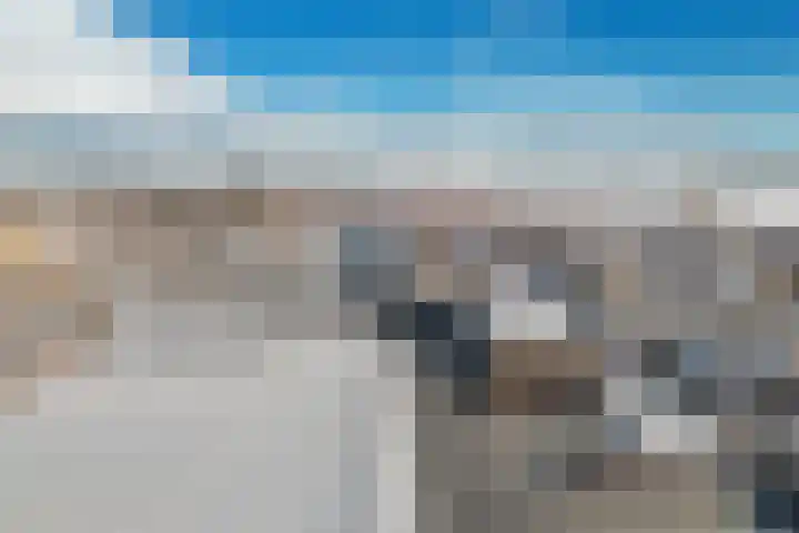 Hoofden 1 203 Sneek thumbnail 34