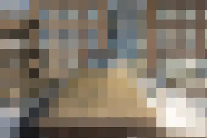 Hoofden 1 203 Sneek thumbnail 36
