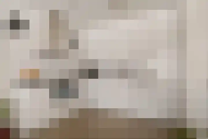 Hoofden 1 203 Sneek thumbnail 9