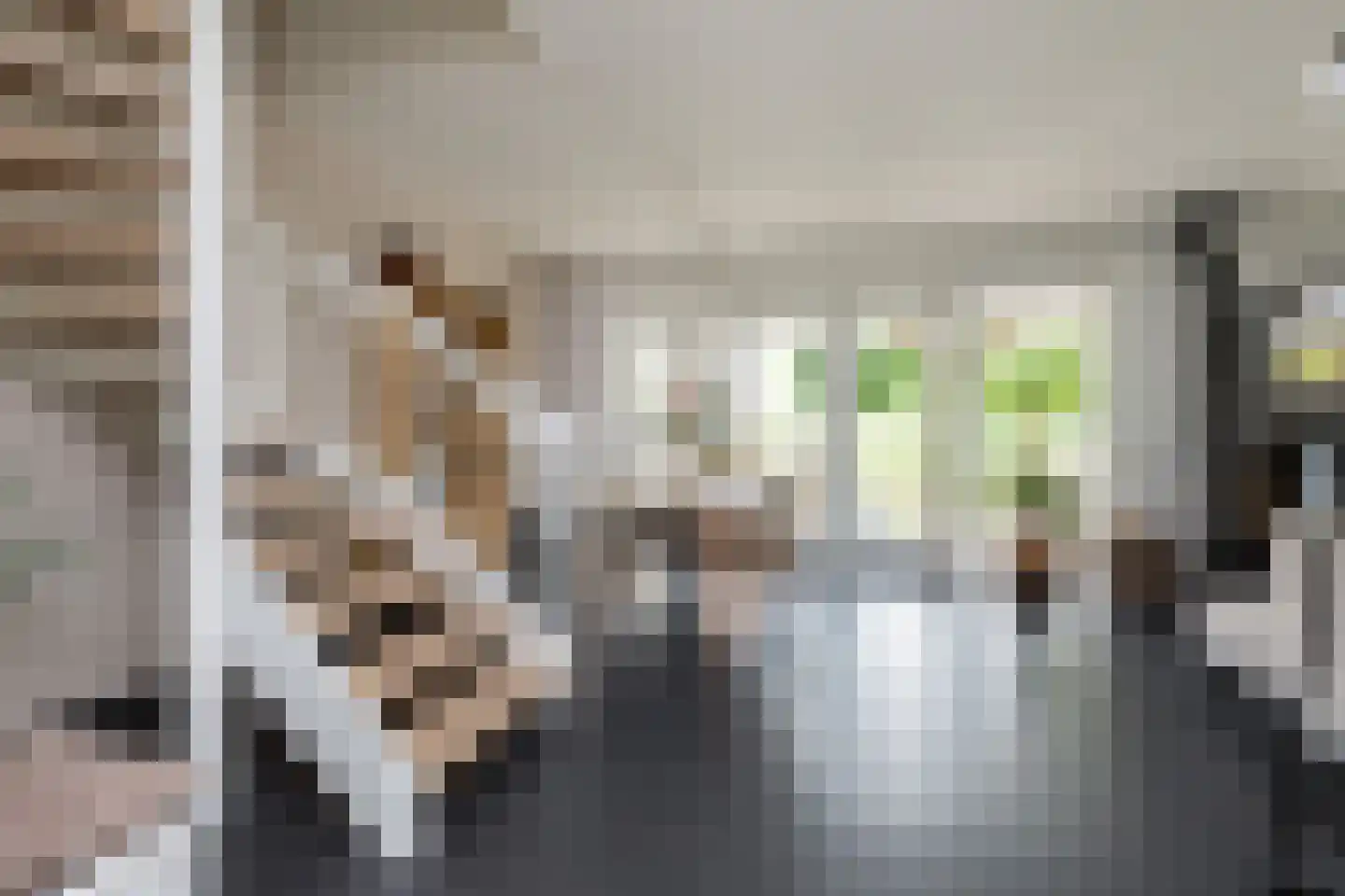Hoofden 22 Sneek thumbnail 11