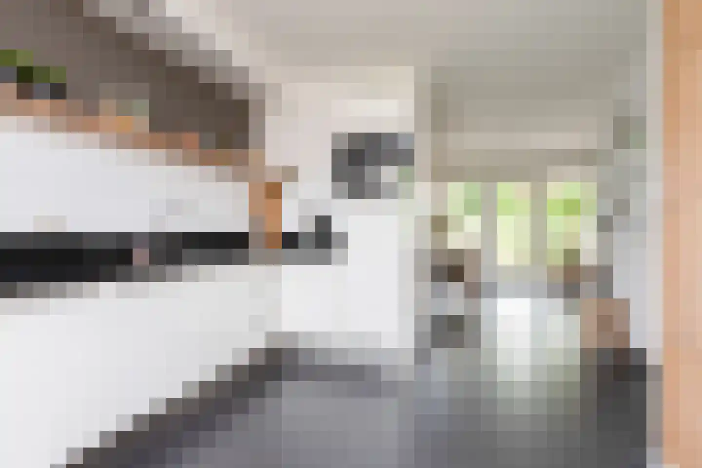 Hoofden 22 Sneek thumbnail 13