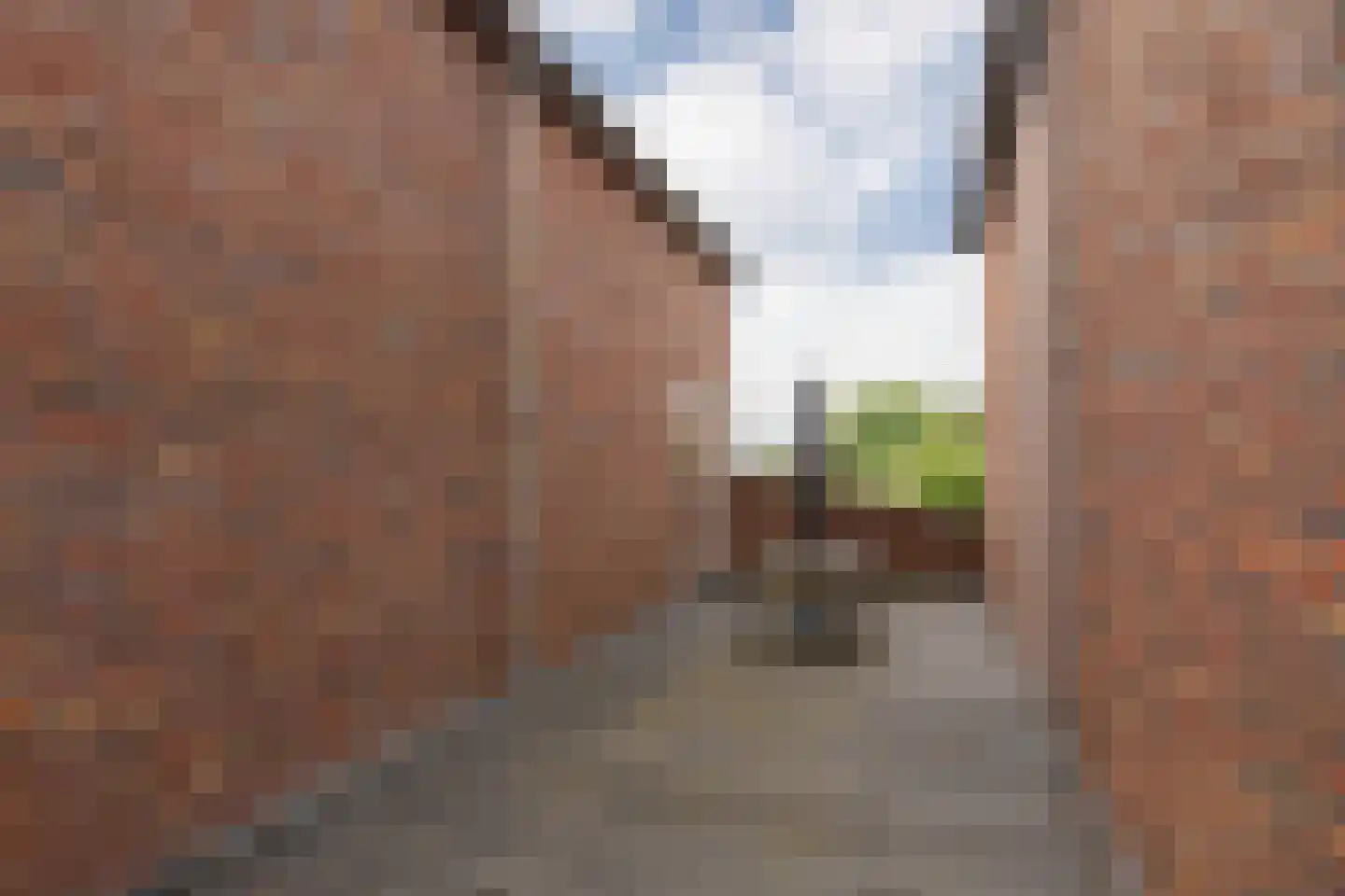 Hoofden 22 Sneek thumbnail 29
