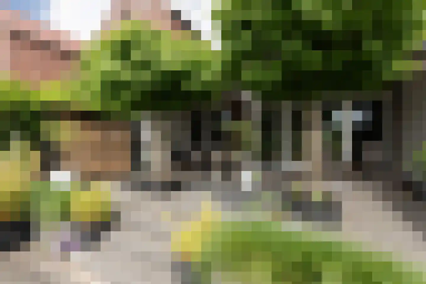 Hoofden 22 Sneek thumbnail 41