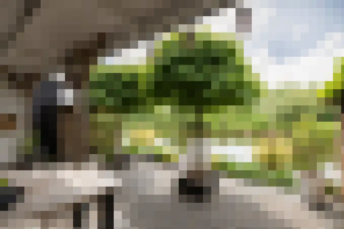 Hoofden 22 Sneek thumbnail 42