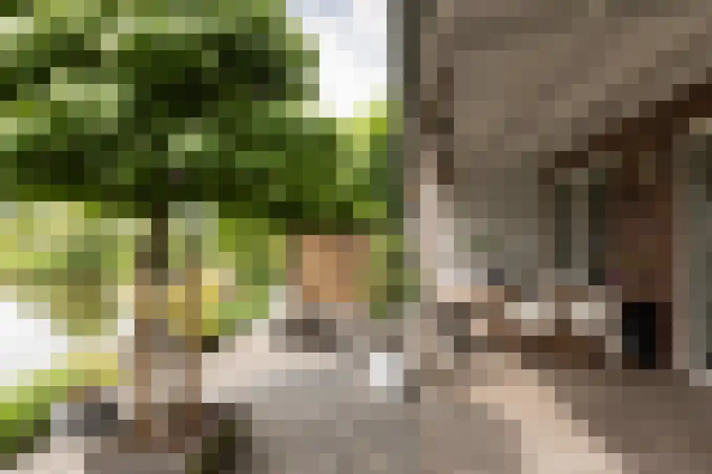 Hoofden 22 Sneek thumbnail 43