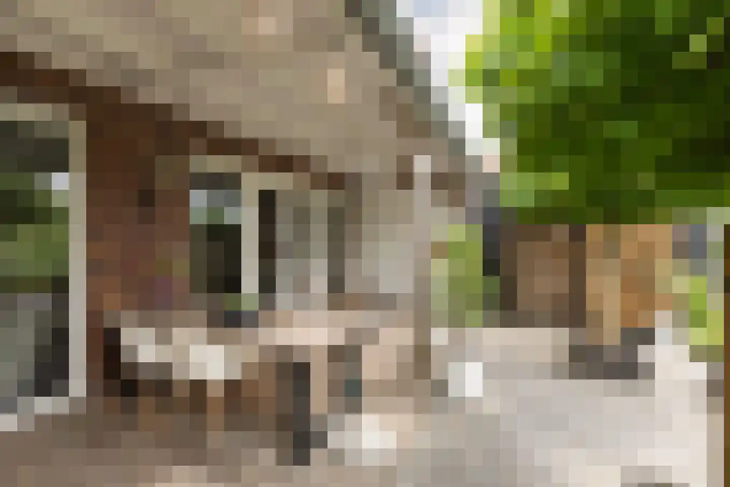 Hoofden 22 Sneek thumbnail 44
