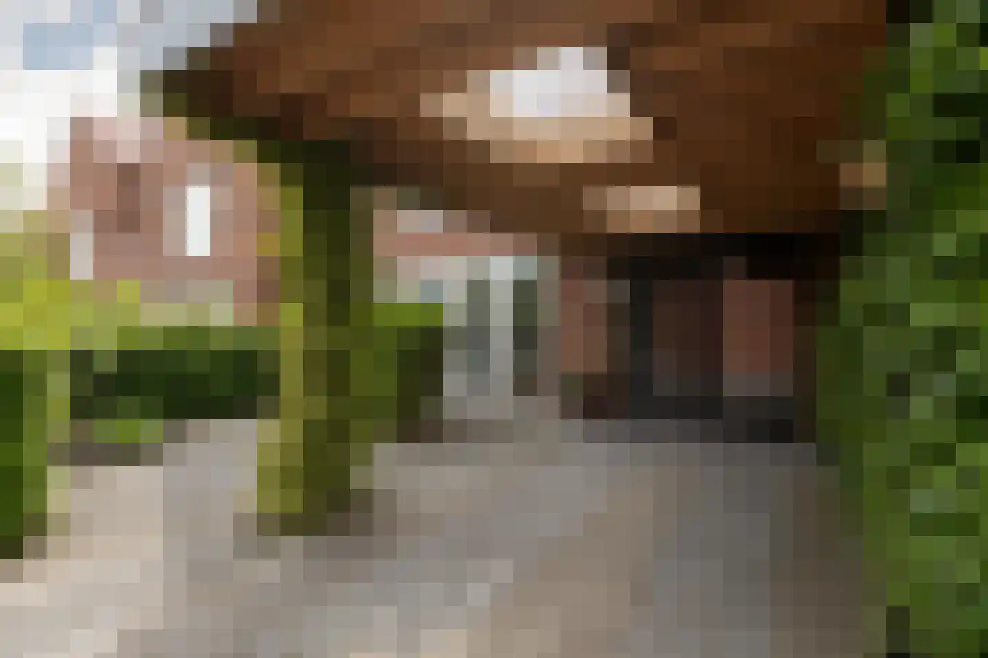 Hoofden 22 Sneek thumbnail 50