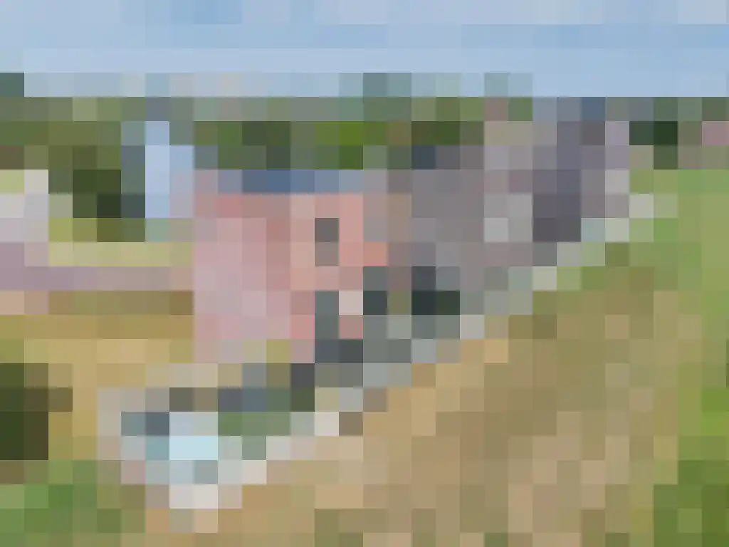Hoofden 56 Sneek thumbnail 4