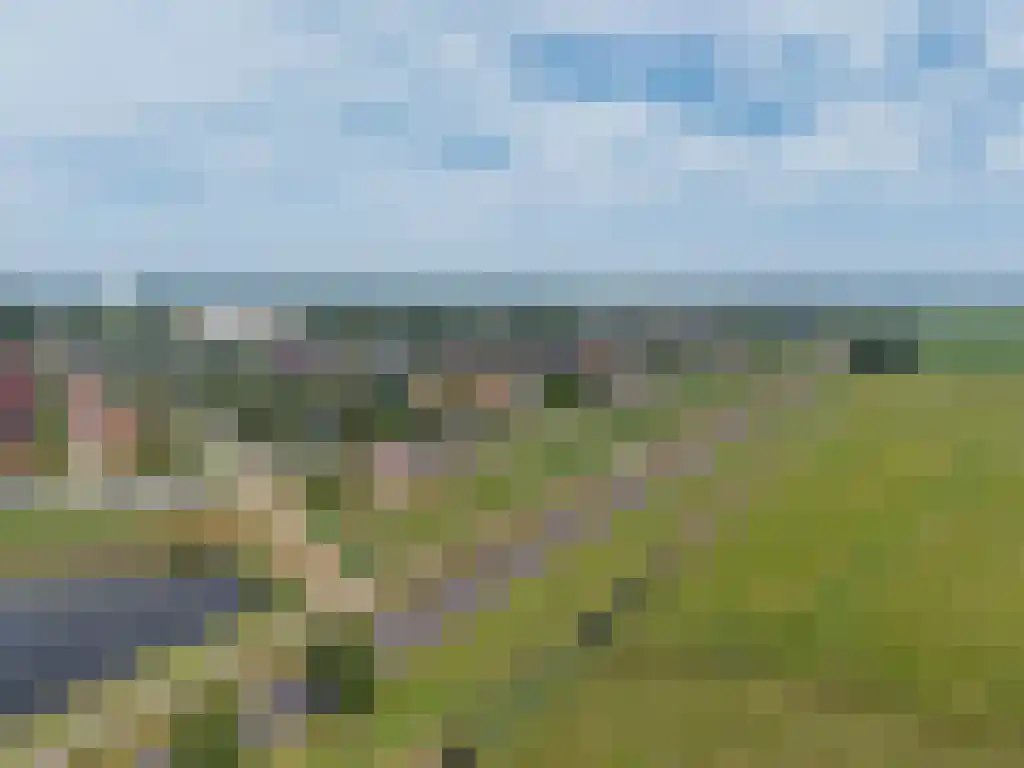 Hoofden 56 Sneek thumbnail 44