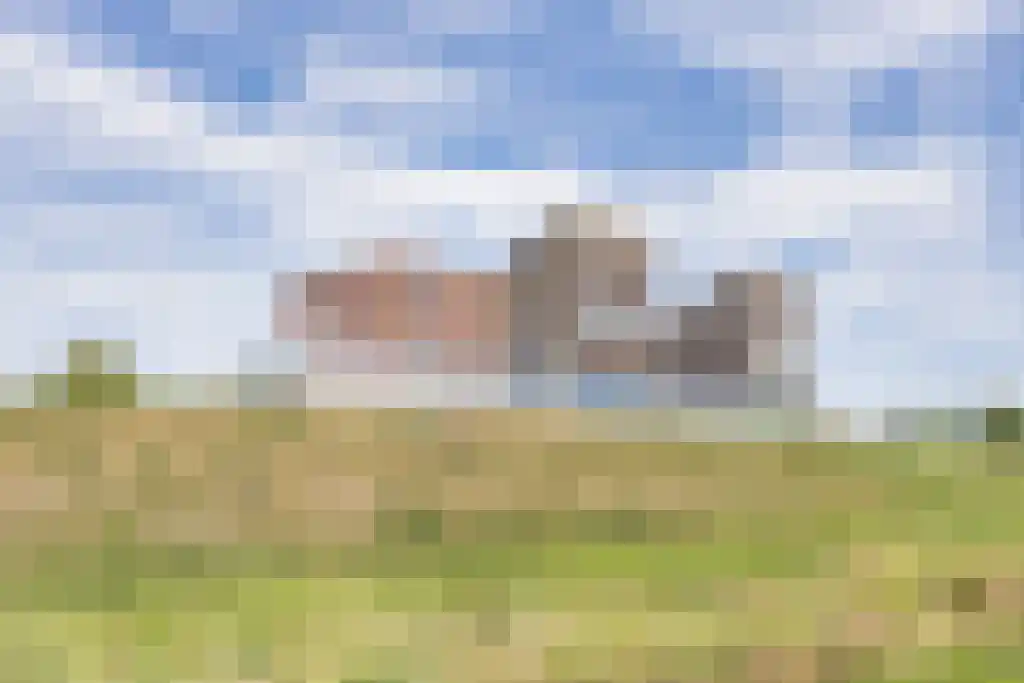 Hoofden 56 Sneek thumbnail 50