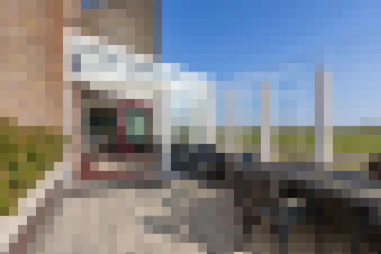 Hoofden 60 Sneek thumbnail 17