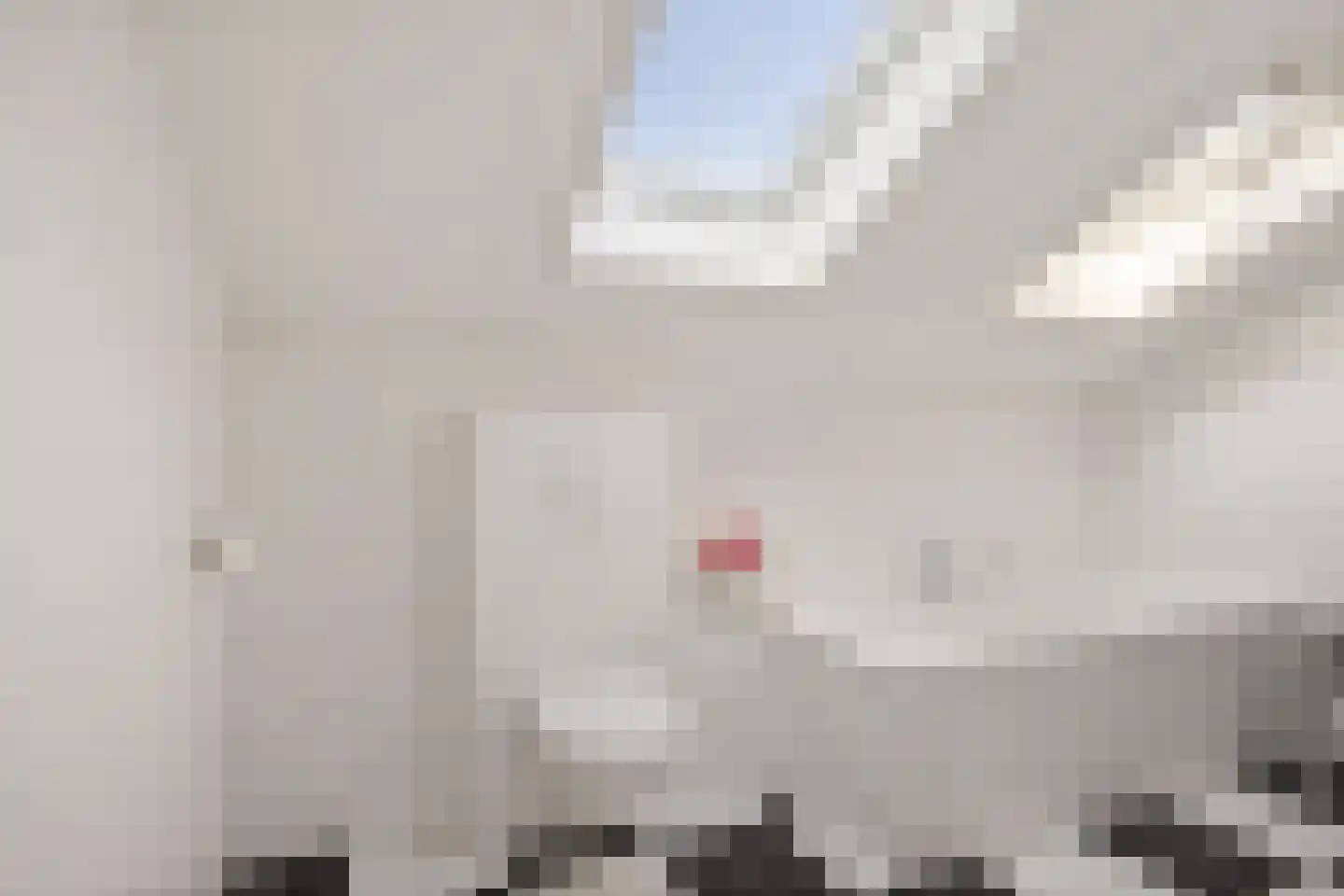 Hoofden 60 Sneek thumbnail 22