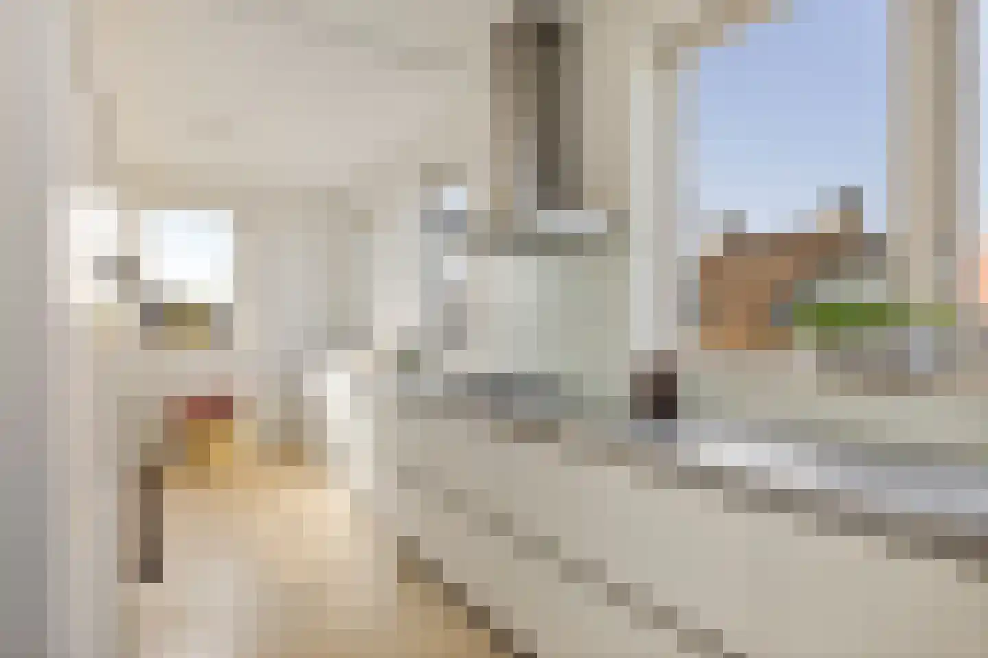 Hoofden 60 Sneek thumbnail 4