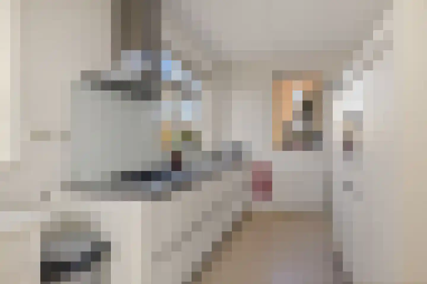 Hoofden 60 Sneek thumbnail 5