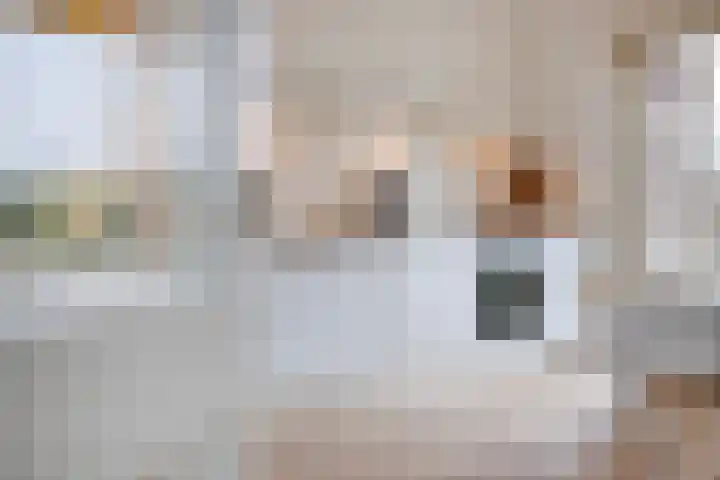 Hoofden 86 Sneek thumbnail 11