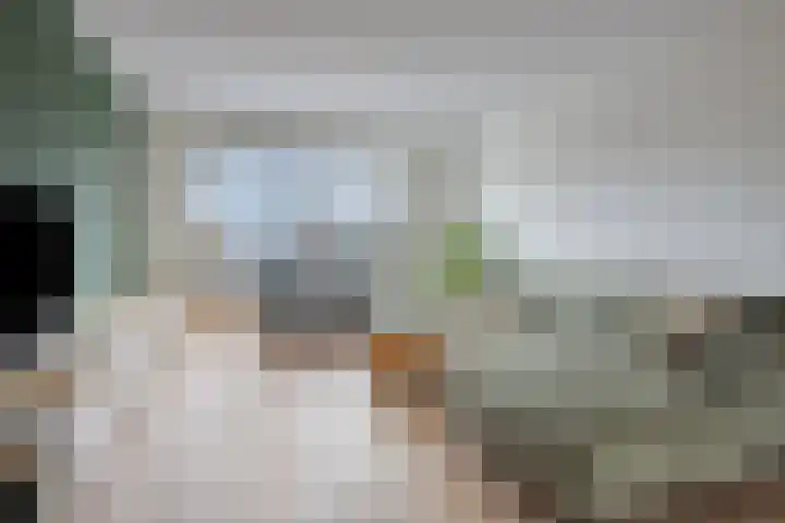 Hoofden 86 Sneek thumbnail 12