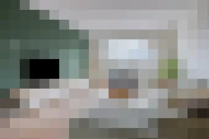 Hoofden 86 Sneek thumbnail 14