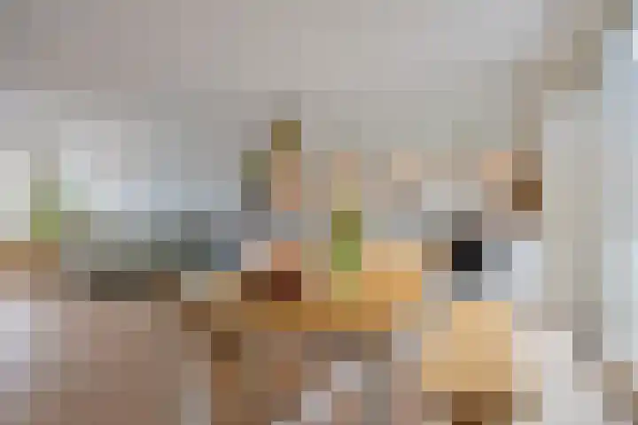 Hoofden 86 Sneek thumbnail 18