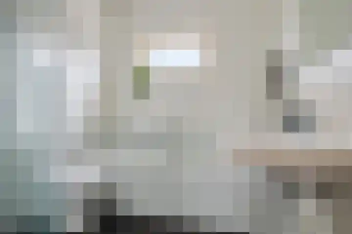 Hoofden 86 Sneek thumbnail 26
