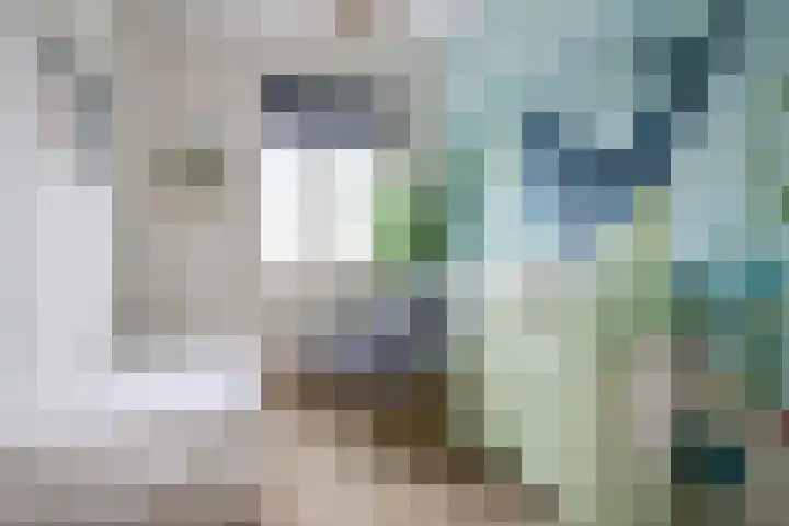 Hoofden 86 Sneek thumbnail 34