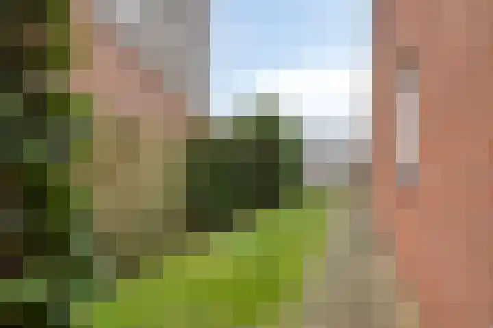 Hoofden 86 Sneek thumbnail 43
