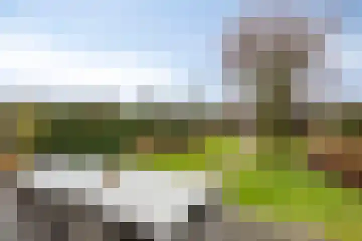 Hoofden 86 Sneek thumbnail 44