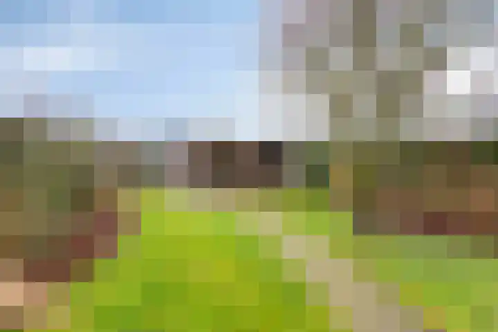 Hoofden 86 Sneek thumbnail 45