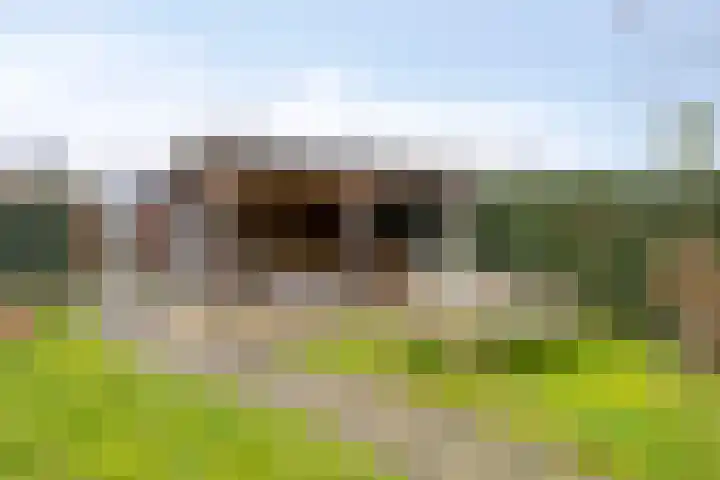Hoofden 86 Sneek thumbnail 46
