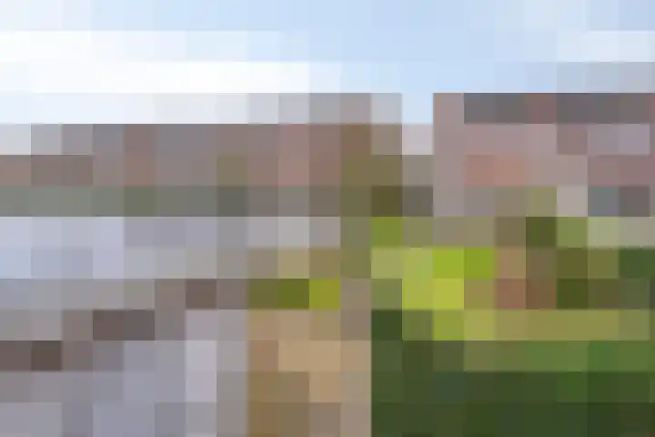 Hoofden 86 Sneek thumbnail 48