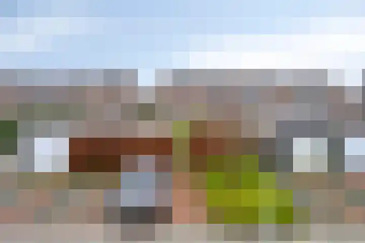 Hoofden 86 Sneek thumbnail 49