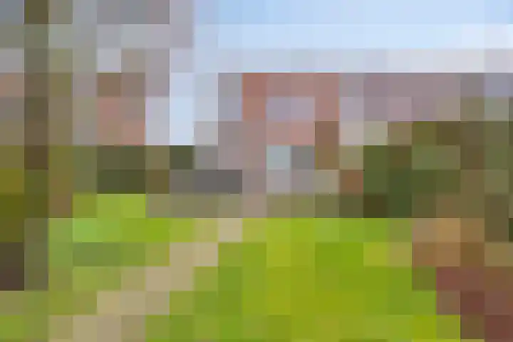 Hoofden 86 Sneek thumbnail 51