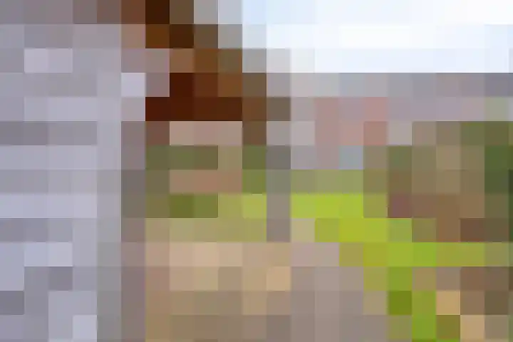 Hoofden 86 Sneek thumbnail 6