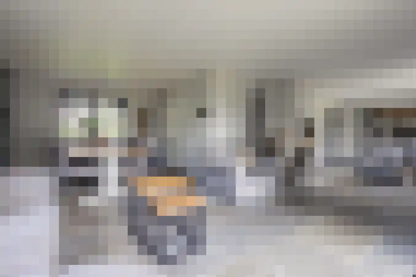 Hoofdgraaf 5 Giessen thumbnail 15