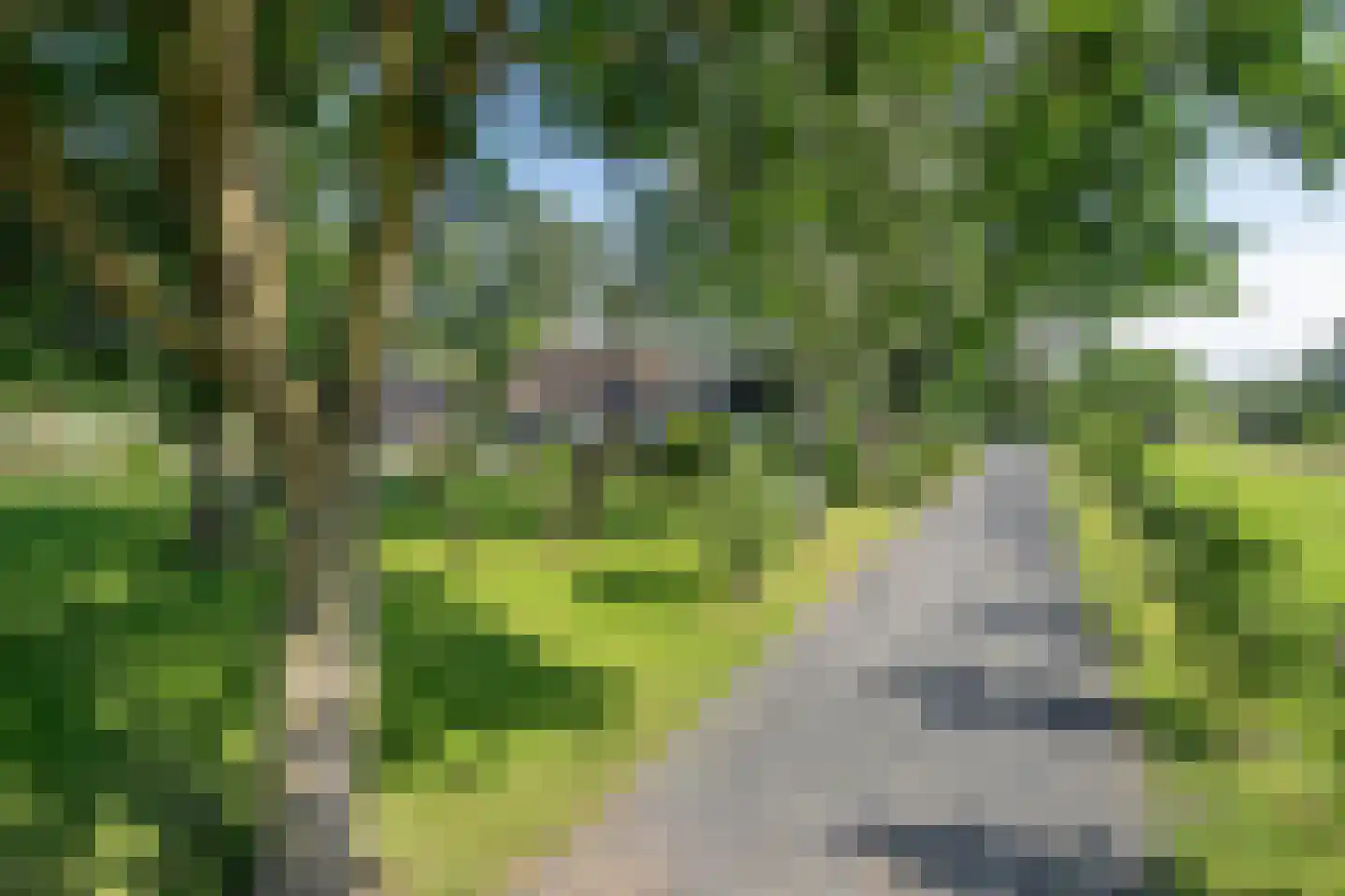 Hoofdgraaf 5 Giessen thumbnail 35