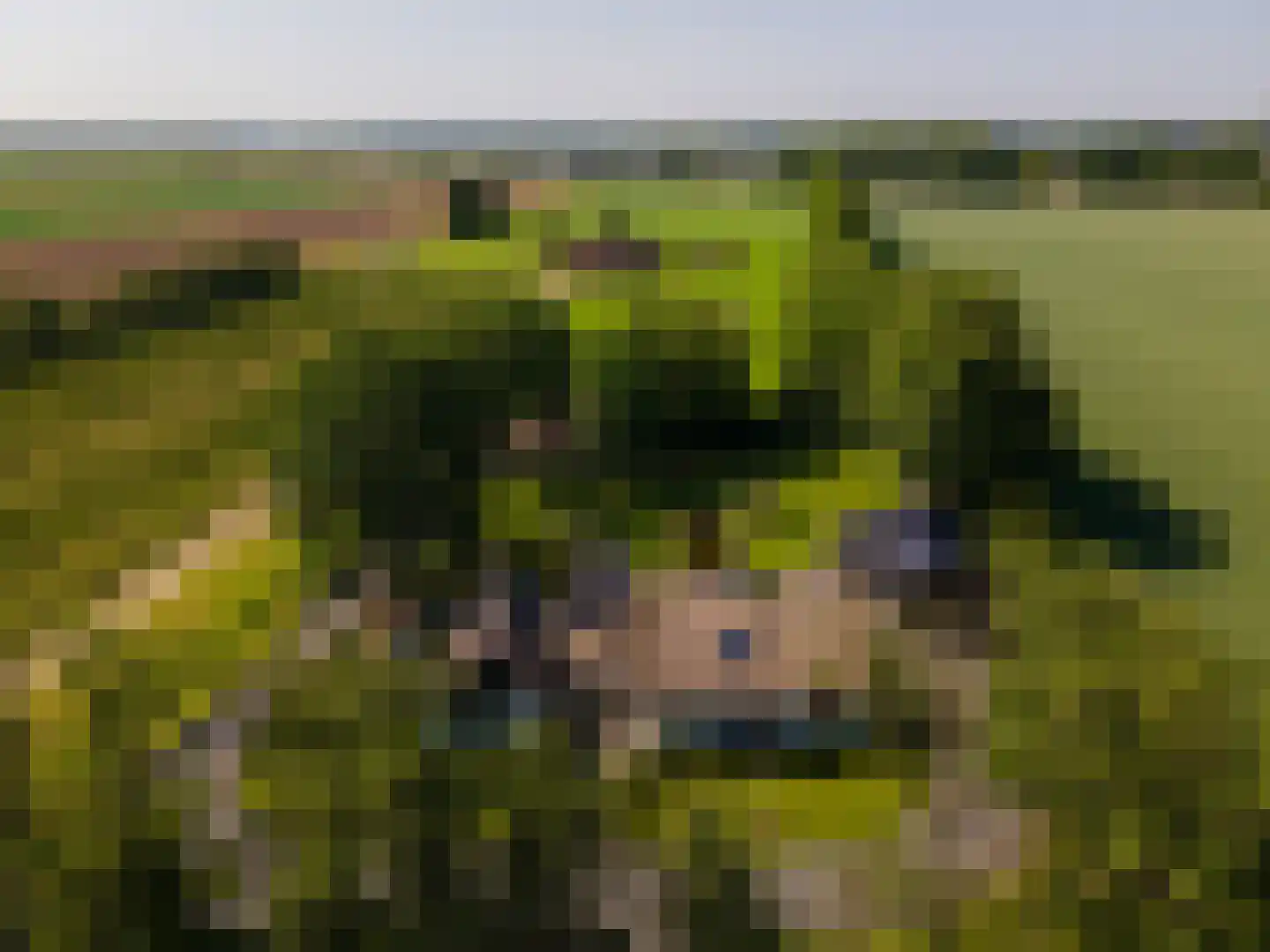 Hoofdgraaf 5 Giessen thumbnail 42