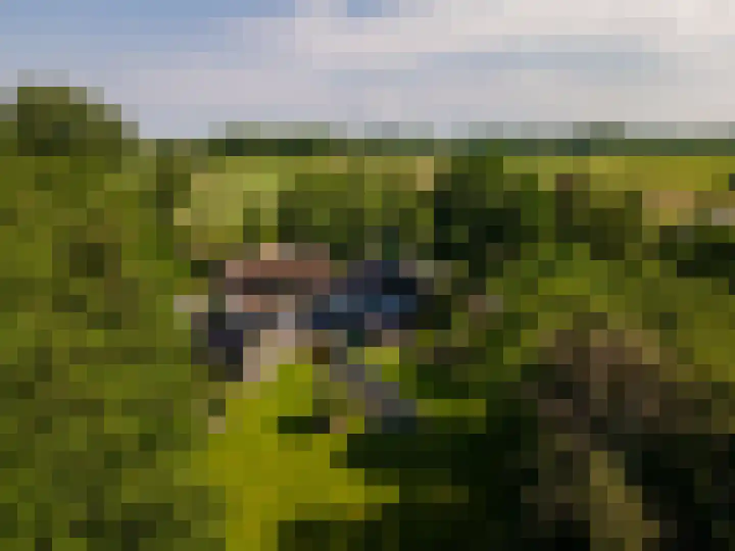 Hoofdgraaf 5 Giessen thumbnail 43