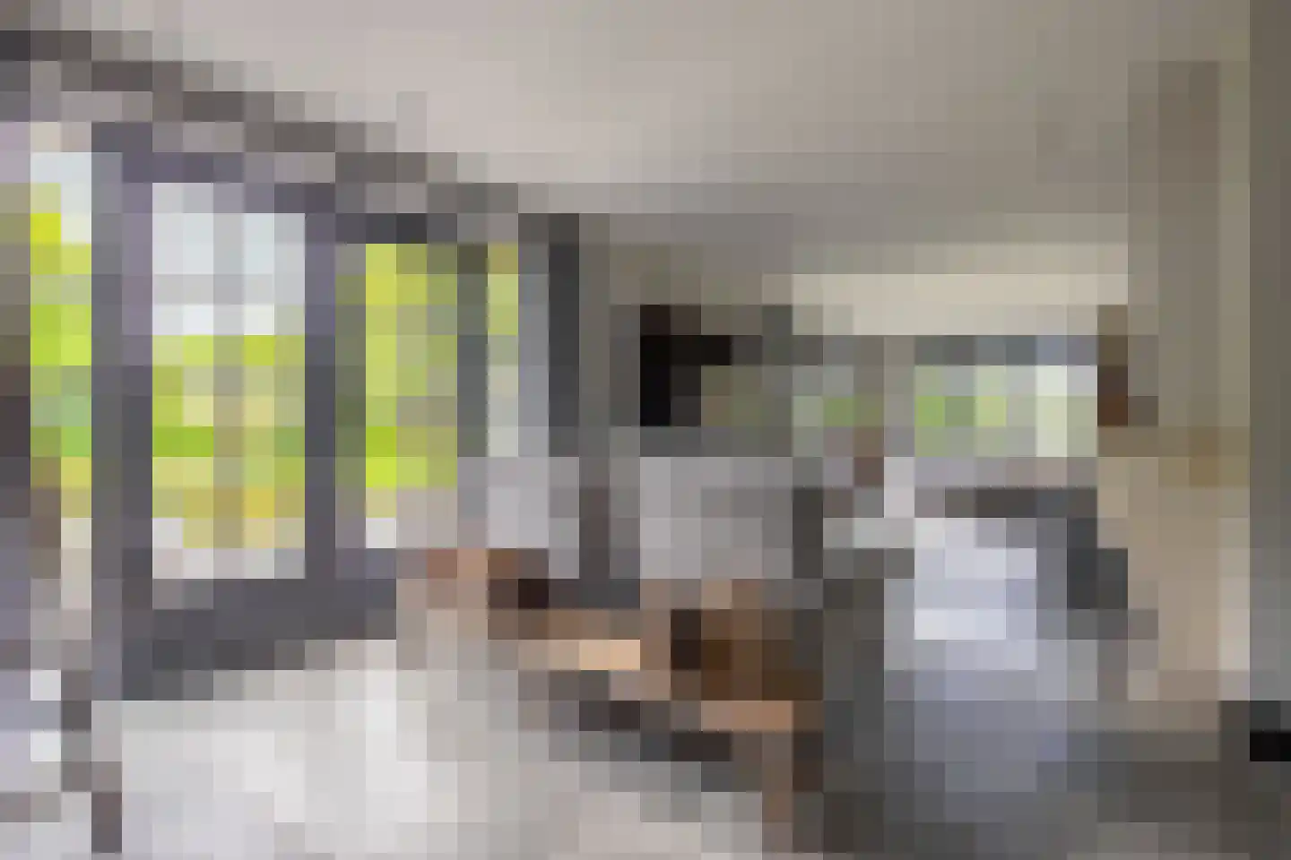 Hoofdgraaf 5 Giessen thumbnail 8
