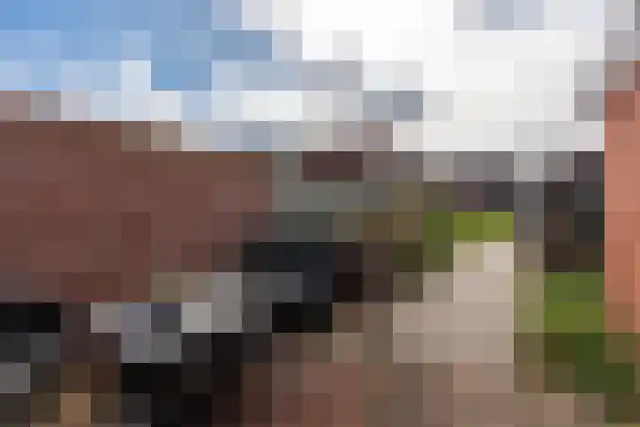Hoofdkade 106 Stadskanaal thumbnail 34