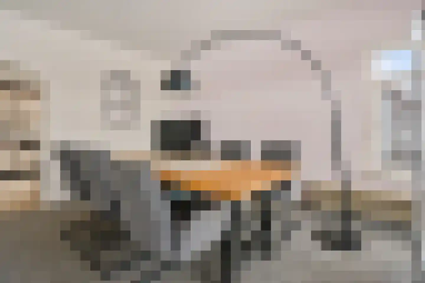 Hoofdkade 132 Stadskanaal thumbnail 19