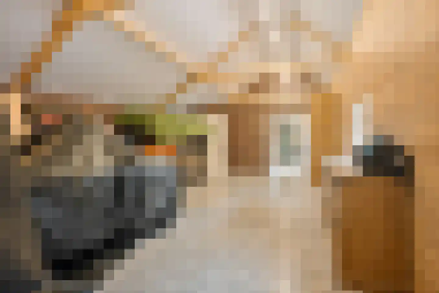 Hoofdkade 132 Stadskanaal thumbnail 46